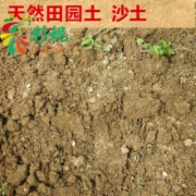 土壤环境质量检测