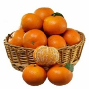 柑橘质量检测