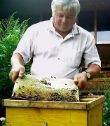 蜂蜜真实性判定 欧洲实验室检测 采用ICS SOP 520-017方法判断