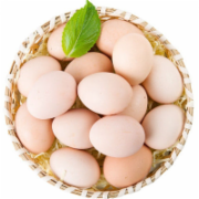 散养柴鸡蛋    新鲜土鸡蛋草鸡蛋笨鸡蛋      蛋及蛋制品检测  绿色食品认证  GB2748《鲜蛋卫生标准》