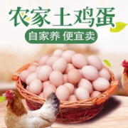  农家土鸡蛋  新鲜鸡蛋 非鹌鹑蛋鸭蛋 笨鸡蛋柴鸡      蛋及蛋制品检测  绿色食品认证  GB2748《鲜蛋卫生标准》
