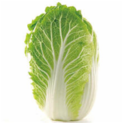 新鲜大白菜检测  新鲜大白菜 白菜   生鲜蔬菜检测   蔬菜农药残留检测　蔬菜中污染物限量检测   