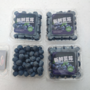  新鲜蓝莓检测 当季蓝莓鲜果大果蓝莓 新鲜水果检测 水果农药残留检测 水果中的重金属及其他有害物质检测