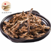 新鲜蚂蚱蝗虫  活体冷冻生鲜 丰县特产   有机食品检测  