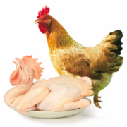 鸡肉检测  鸡肉内脏检测    企业自检应对CFDA食品抽检  