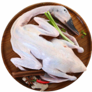 鸭肉检测  鸭肉内脏检测    企业自检应对CFDA食品抽检  