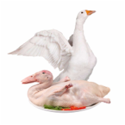  鹅肉内脏检测    鹅肉质量检测 企业自检应对CFDA食品抽检  