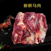 马肉及肉制品中掺假检测鉴定  动物源性成分检测   