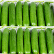 黄瓜检测 瓜类蔬菜检测 NYT747 农产品农药残留检测