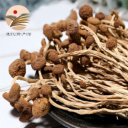 茶树菇 菌菇干货检测 食用菌卫生检测